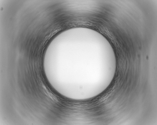X0000088090360200705111108