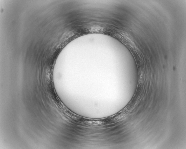 X0000088090363200705111108