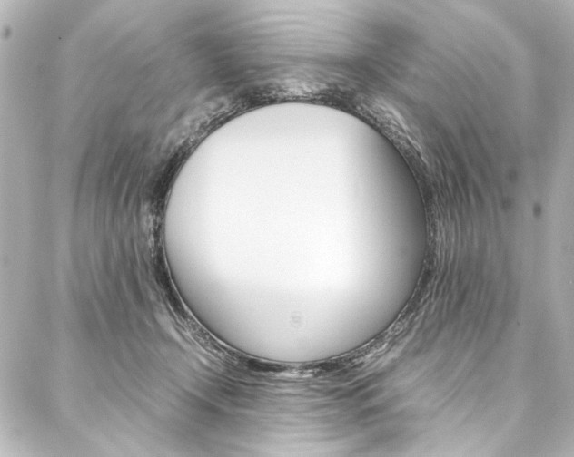 X0000088090366200705111108