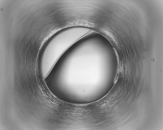 X0000088090388200705111107