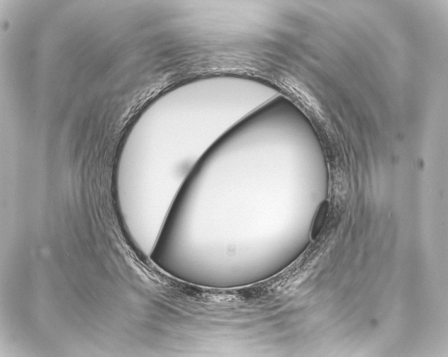 X0000088090401200705111107