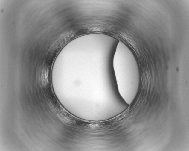 X0000088090406200705111107