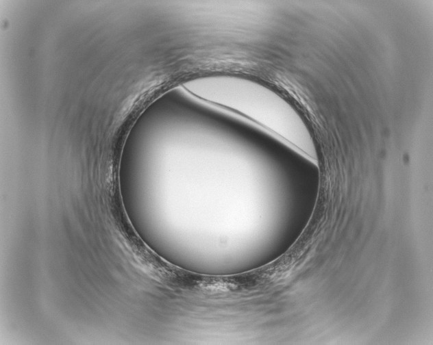 X0000088090407200705111107
