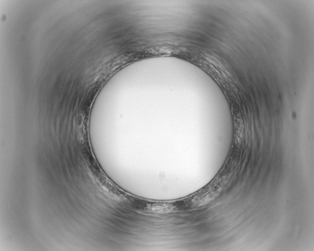 X0000088090414200705111107
