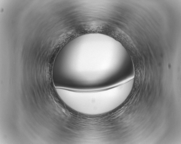 X0000088090416200705111107