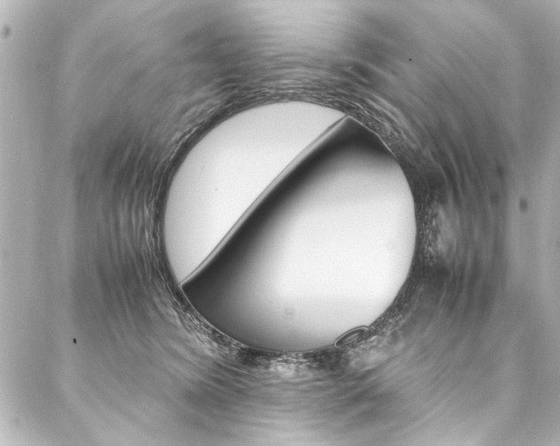 X0000088090420200705111107