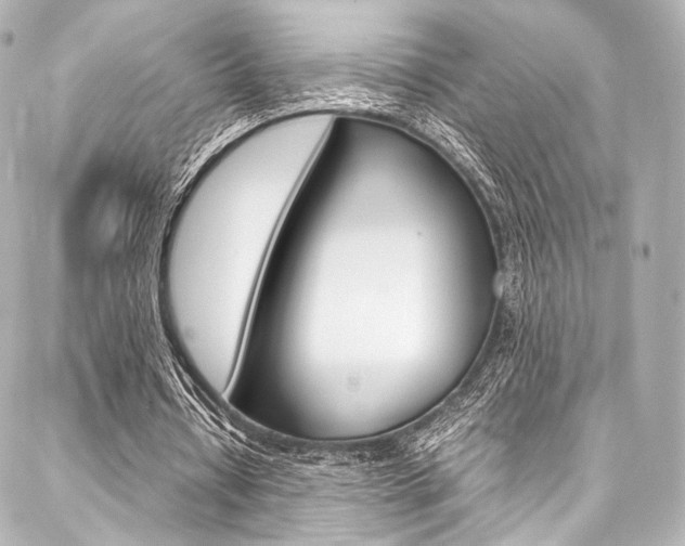 X0000088090434200705111106