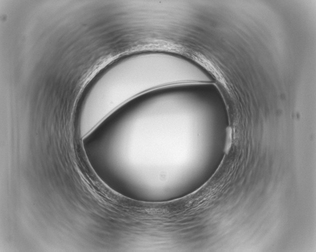 X0000088090436200705111106