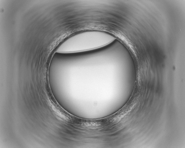 X0000088090445200705111106