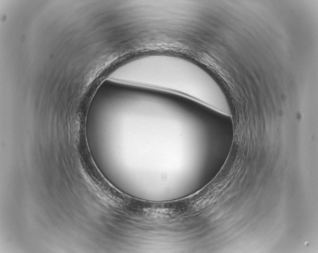 X0000088090448200705111106