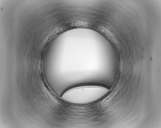 X0000088090449200705111106