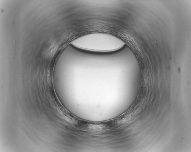 X0000088090457200705111106