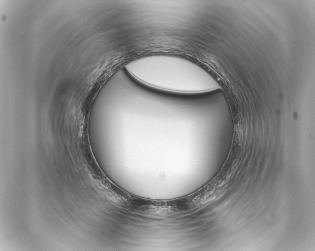 X0000088090458200705111106