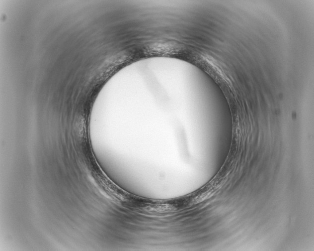 X0000088090459200705111106