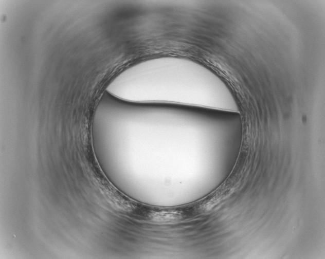 X0000088090461200705111106