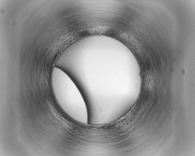 X0000088090498200705111105