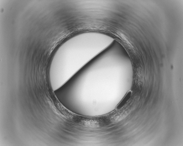 X0000088090500200705111105