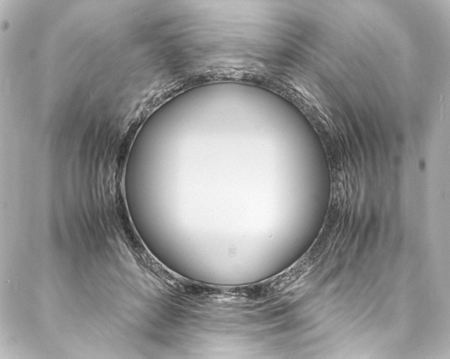 X0000088090504200705111105