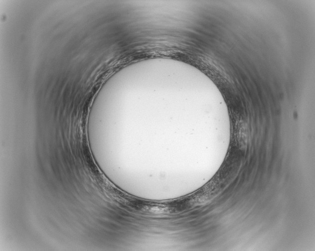X0000088090506200705111105