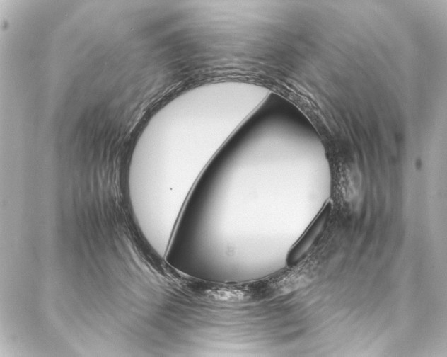 X0000088090512200705111105
