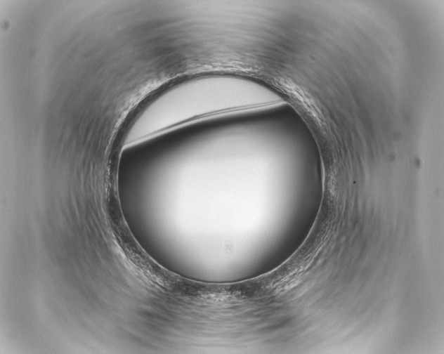 X0000088090540200705111104