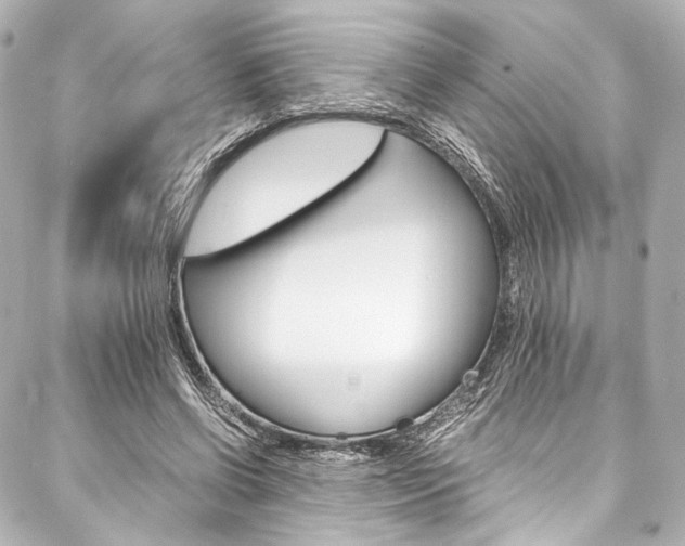 X0000088090542200705111104