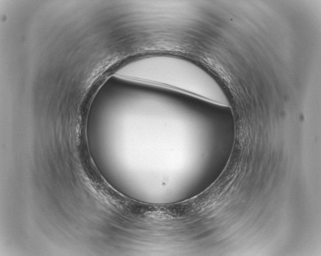 X0000088090544200705111104