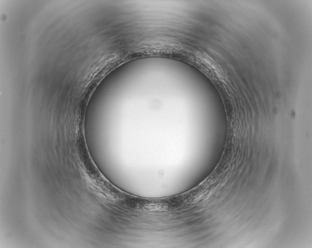 X0000088090546200705111104