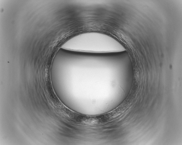 X0000088090551200705111105