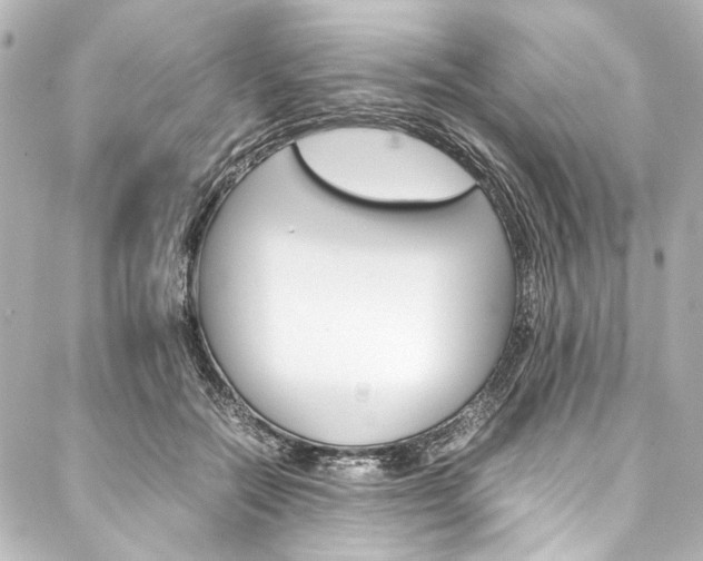 X0000088090554200705111105