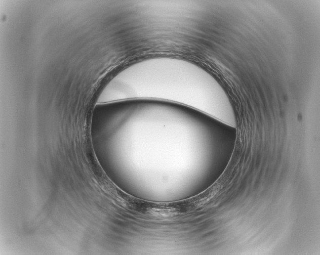 X0000088090556200705111105