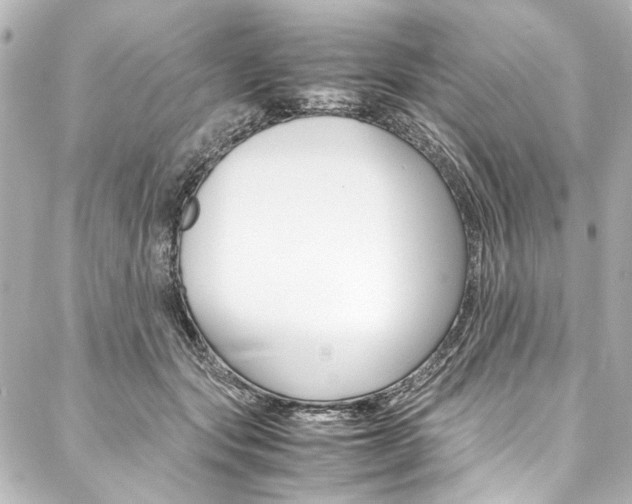 X0000088090557200705111105
