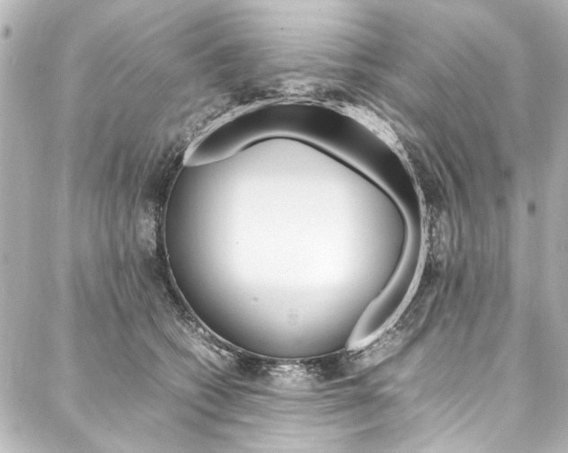 X0000088090562200705111105