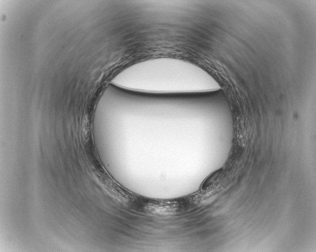 X0000088090563200705111105