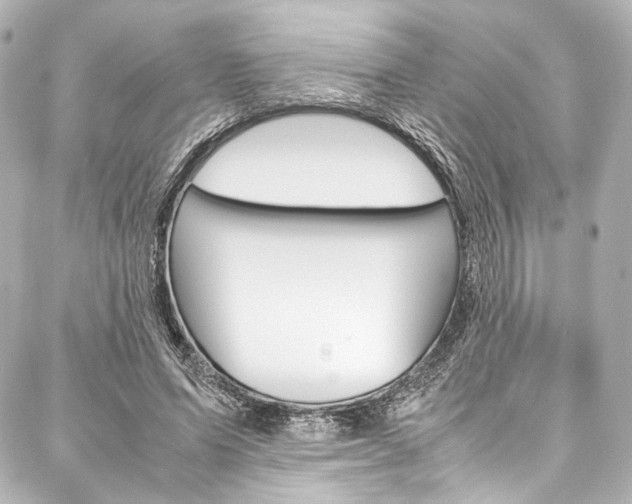 X0000088090591200705111104
