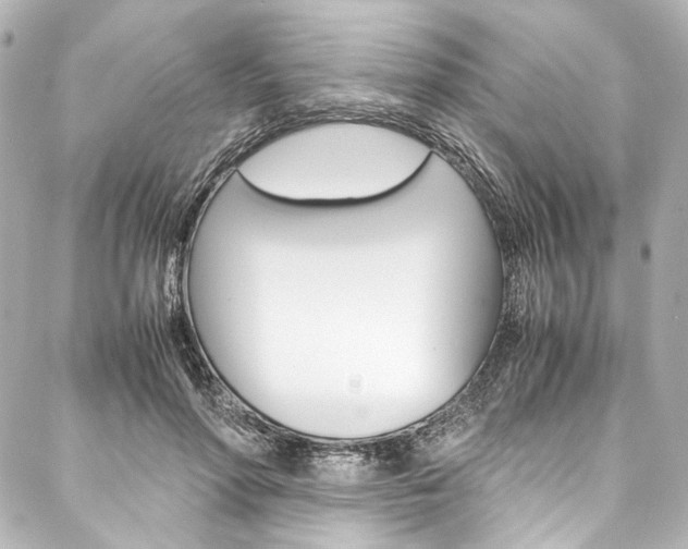 X0000088090598200705111104