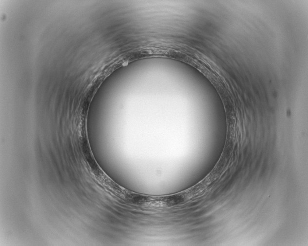 X0000088090604200705111104