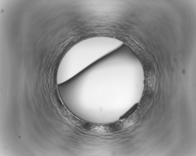 X0000088090611200705111104