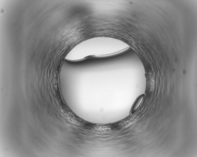 X0000088090619200705111104
