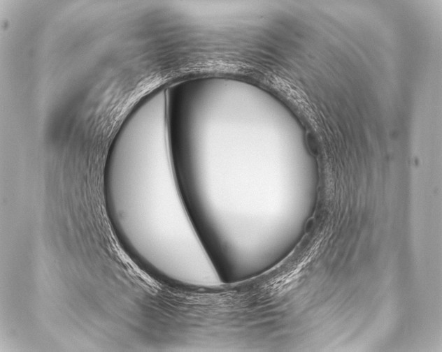 X0000088090625200705111103