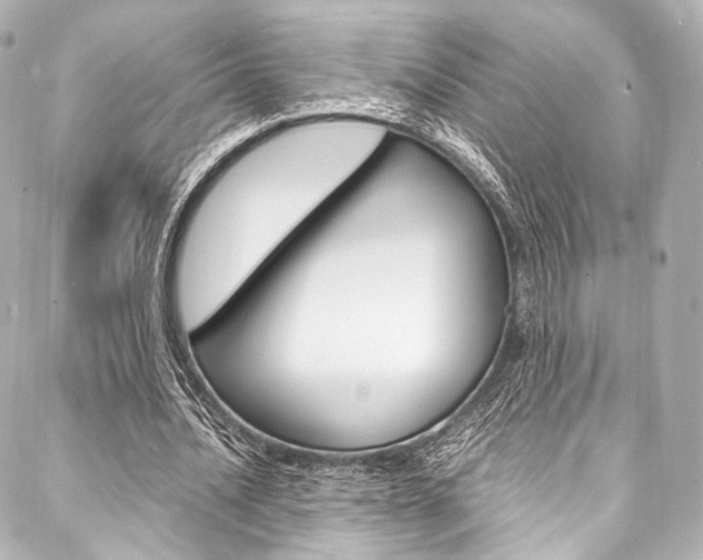 X0000088090628200705111103