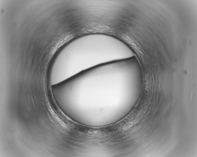 X0000088090634200705111103