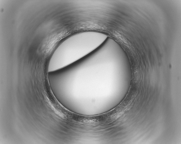 X0000088090638200705111103