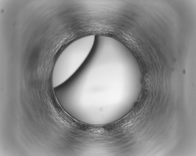 X0000088090642200705111103