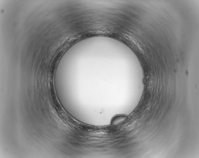 X0000088090643200705111103