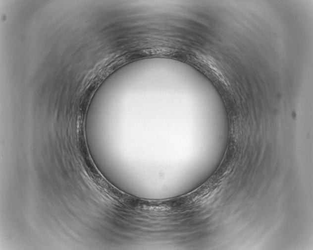 X0000088090645200705111103