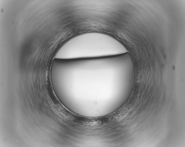 X0000088090646200705111103