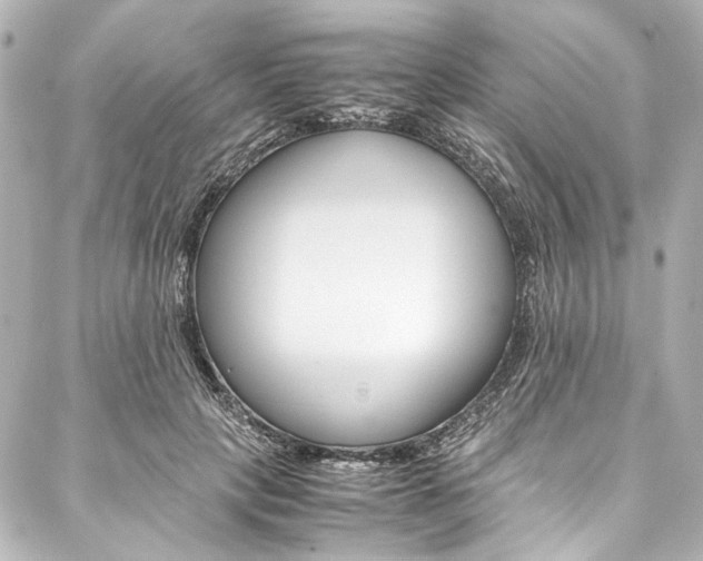 X0000088090649200705111103