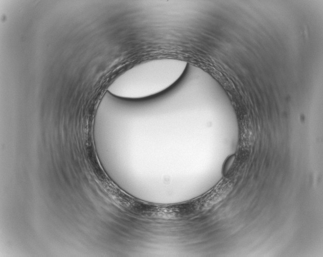 X0000088090656200705111103