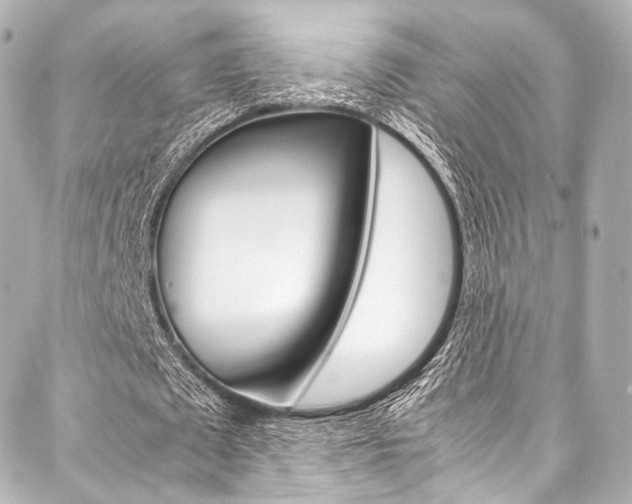 X0000088090673200705111103